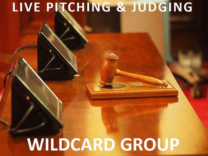 Live-Judging-Wildcard-Group